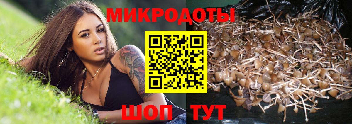 Галлюциногенные грибы Cubensis Воскресенск